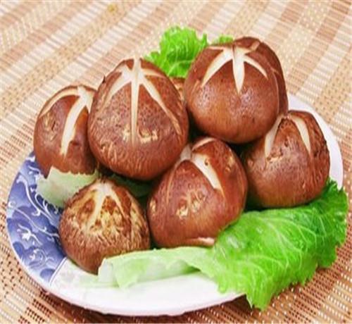 best canned mushrooms best canned mushrooms