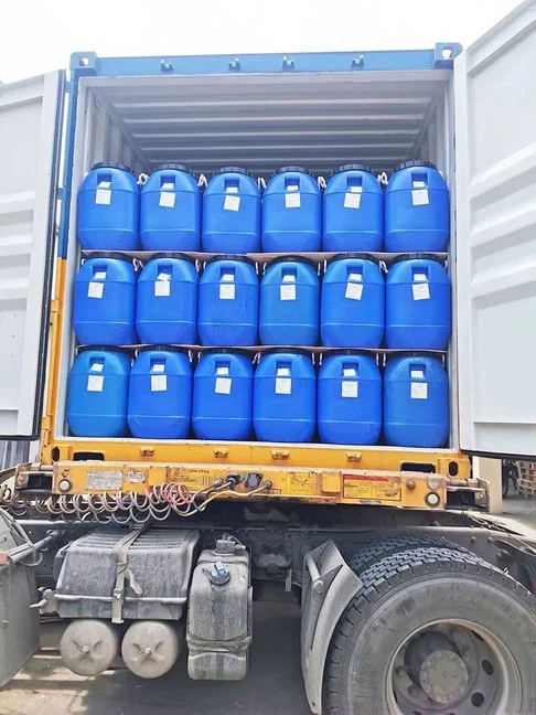 mushroom loading mushroom loading